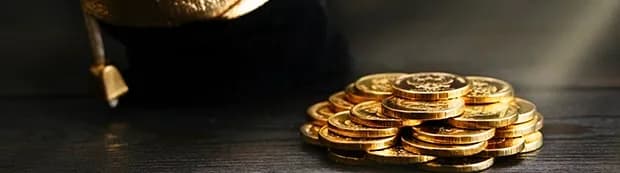 Malabar Gold Coin